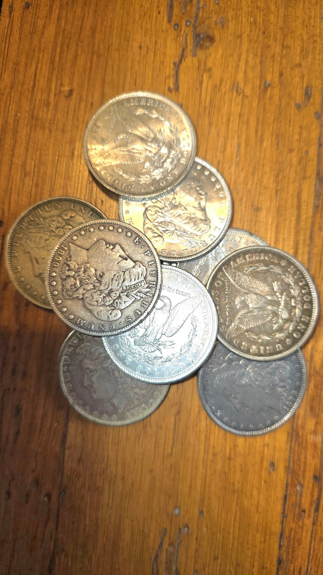 Morgan Dollars (Random Dates)